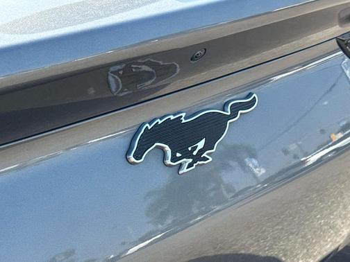 2021 Ford Mustang Mach-E California Route 1