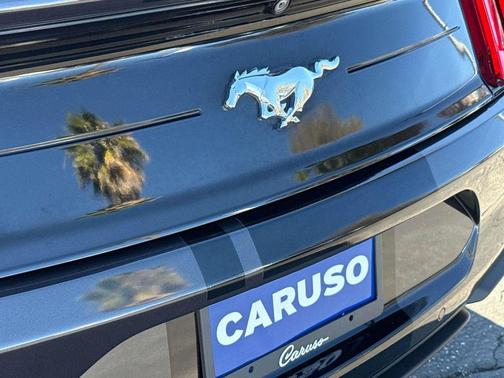 2022 Ford Mustang EcoBoost