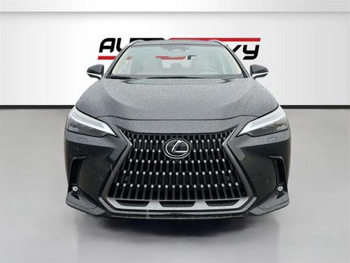 2024 Lexus NX 450h+ Luxury