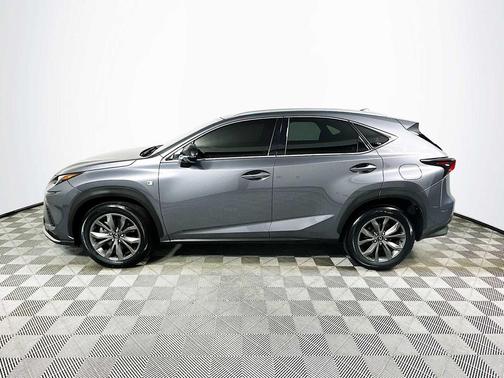 Nebula Gray Pearl 2020 Lexus NX 300 F Sport