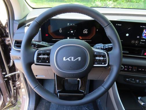 Panthera Metal 2026 Kia Carnival EX