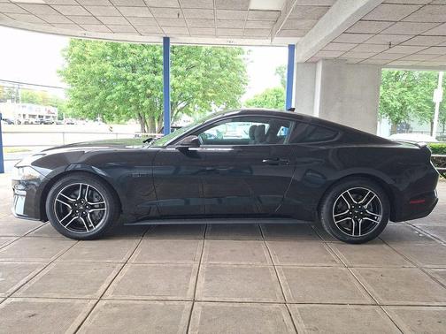 Shadow Black 2022 Ford Mustang GT