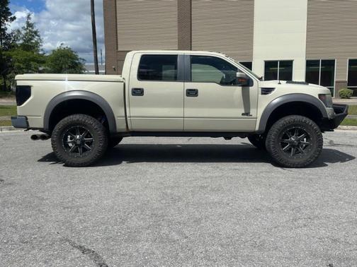 Terrain 2014 Ford F-150 SVT Raptor