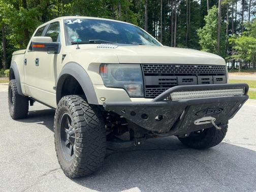 Terrain 2014 Ford F-150 SVT Raptor