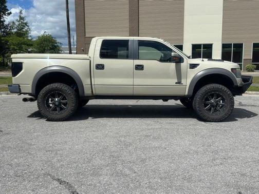 Terrain 2014 Ford F-150 SVT Raptor