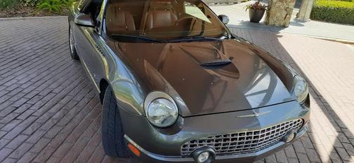 Mountain Shadow Gray Clearcoat 2003 Ford Thunderbird Deluxe