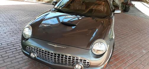 Mountain Shadow Gray Clearcoat 2003 Ford Thunderbird Deluxe
