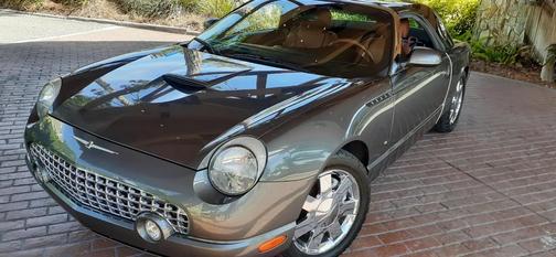 Mountain Shadow Gray Clearcoat 2003 Ford Thunderbird Deluxe