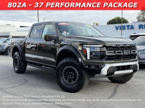 SHELTER GREEN 2024 Ford F-150 RAPTOR