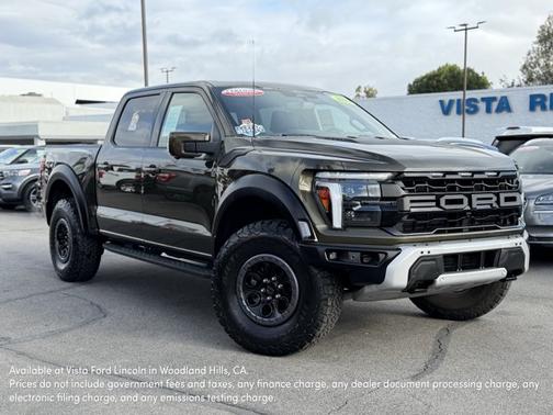 SHELTER GREEN 2024 Ford F-150 RAPTOR
