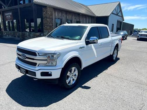 2019 Ford F-150 Platinum