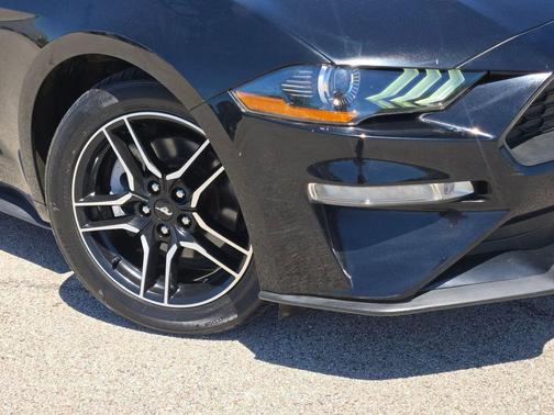 SHADOW BLACK 2021 Ford Mustang EcoBoost Premium