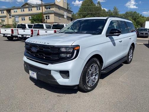 SPACE SILVER METALLIC 2025 Ford Expedition ACTIVE