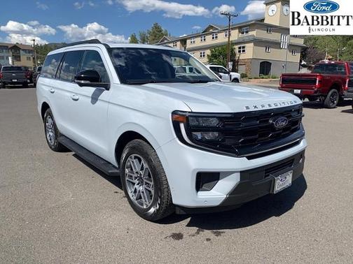 SPACE SILVER METALLIC 2025 Ford Expedition ACTIVE