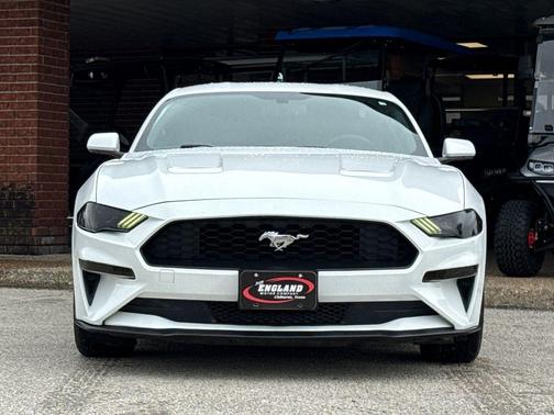 Oxford White 2019 Ford Mustang EcoBoost