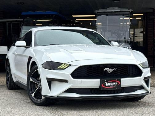 Oxford White 2019 Ford Mustang EcoBoost
