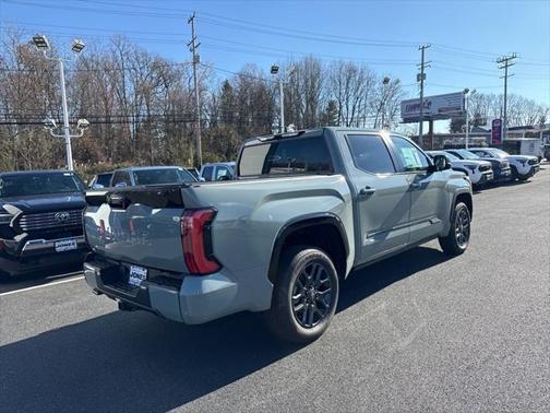 2025 Toyota Tundra Platinum