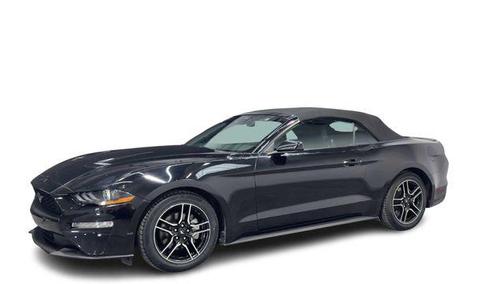 Shadow Black 2022 Ford Mustang EcoBoost Premium