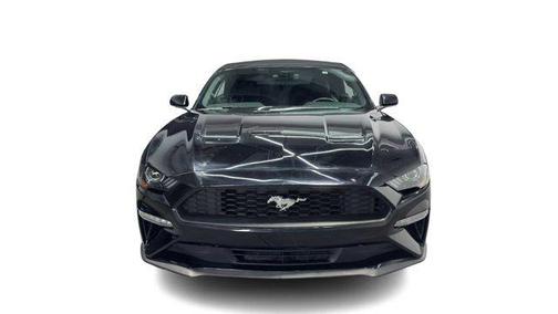Shadow Black 2022 Ford Mustang EcoBoost Premium