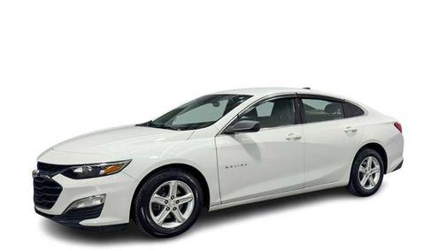 Summit White 2019 Chevrolet Malibu 1LS