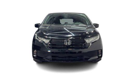 Crystal Black Pearl 2023 Honda Odyssey Sport