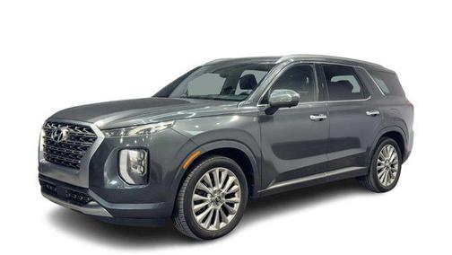 Rainforest 2020 Hyundai PALISADE Limited