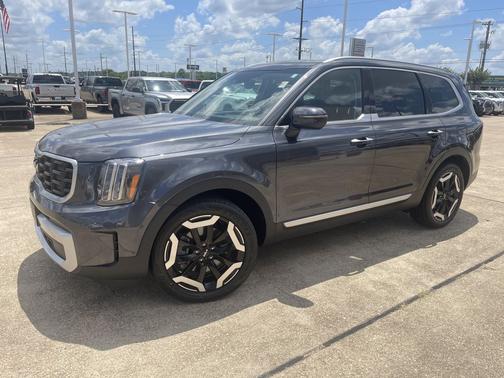 Panthera Metal 2025 Kia Telluride S