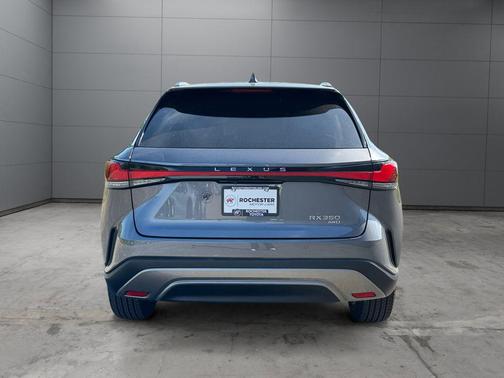 Nebula Gray Pearl 2023 Lexus RX 350 Premium