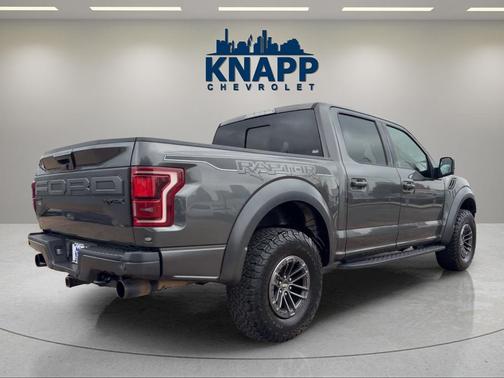 Magnetic 2019 Ford F-150 Raptor