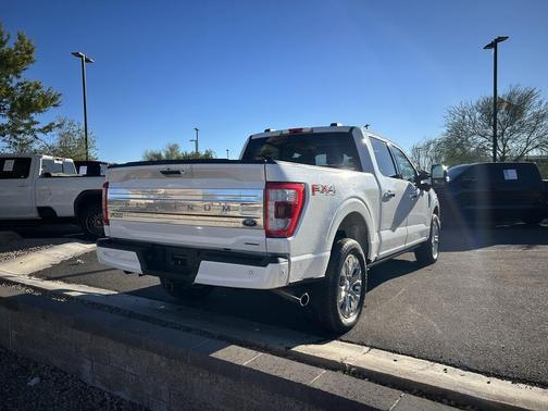 2022 Ford F-150 Platinum