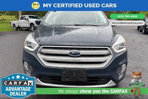 Sea Green 2019 Ford Escape SEL
