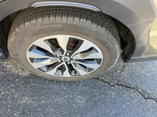 Autumn Green Metallic 2024 Subaru Outback Limited