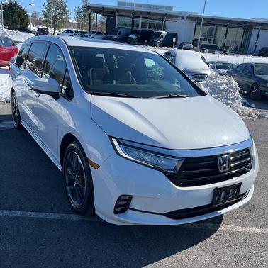 2024 Honda Odyssey Elite