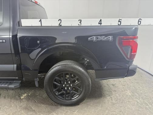 Agate Black Metallic 2025 Ford F-150 STX