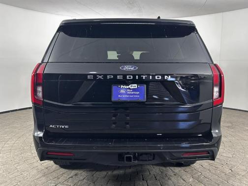 Black 2025 Ford Expedition Active