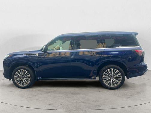 Grand Blue 2025 INFINITI QX80 Luxe