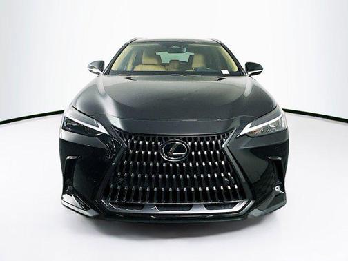 2024 Lexus NX 250 Premium