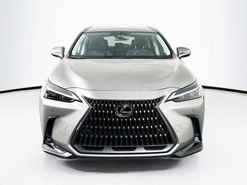 2024 Lexus NX 250 Premium