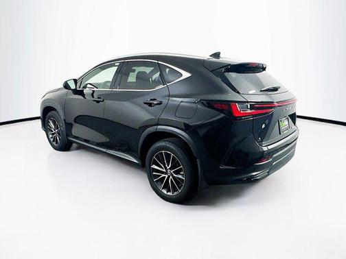 2024 Lexus NX 250 Premium