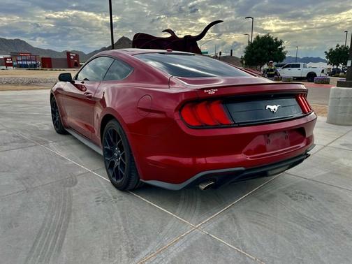 2019 Ford Mustang EcoBoost