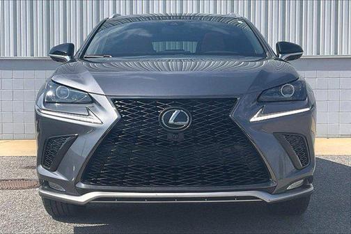 Nebula Gray Pearl 2020 Lexus NX 300 F Sport