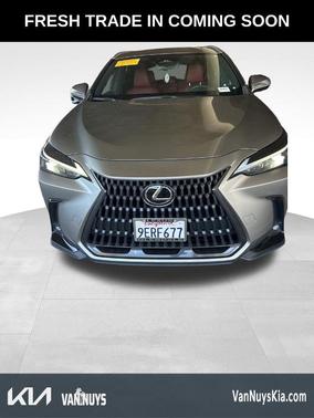 2023 Lexus NX 350 Base