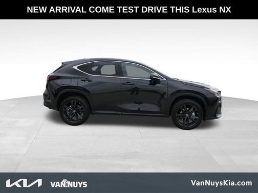 2024 Lexus NX 450h+ Luxury