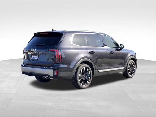 Metal 2025 Kia Telluride SX