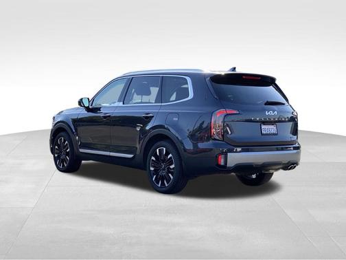 Metal 2025 Kia Telluride SX