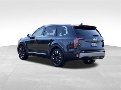Metal 2025 Kia Telluride SX