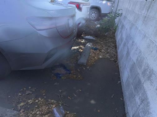 Steel Gray 2023 Kia Forte LXS