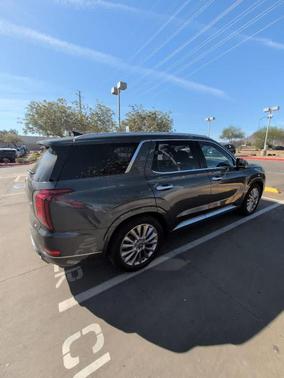 Rainforest 2020 Hyundai PALISADE Limited