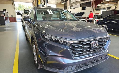 Urban Gray Pearl 2025 Honda CR-V EX AWD