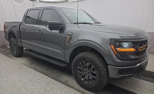 Carbonized Gray Metallic 2025 Ford F-150 Tremor